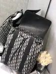 Dior Backpack