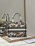 Small Dior Book Tote