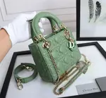 Mini Lady Dior Bag