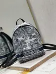 Dior Backpack