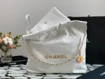 Chanle 22 Backpack