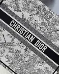 Large Dior Book Tote