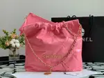 Chanle 22 Backpack