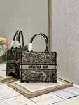 Small Dior Book Tote