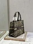 Small Dior Book Tote
