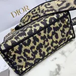Medium Lady D-lite Bag