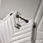 Chanle Hobo Bag