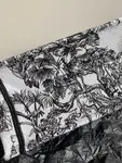 Small Dior Book Tote