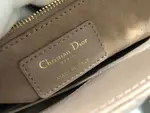 Medium Lady Dior Bag