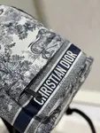 Dior Backpack
