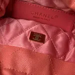 Chanle 22 Backpack Mini