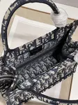 Small Dior Book Tote