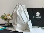 Chanle 22 Backpack