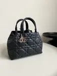 Dior Toujours Bag