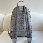 Dior Backpack
