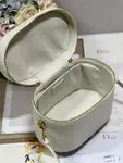 Medium Cd Signature Vanity Case