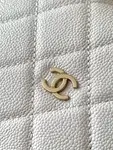 Chanel 25c Hobo Bag