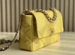 Chanle 19 Handbag