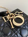 Small Lady D-joy Bag