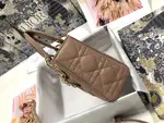 Mini Lady Dior Bag