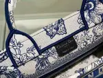Small Dior Book Tote