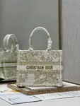 Small Dior Book Tote