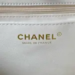 Chanel 23a Hobo Bag