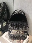 Dior Backpack