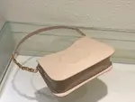 Dior Cd Signature Hobo Bag