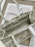 Small Dior Book Tote
