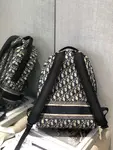 Dior Backpack