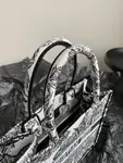 Small Dior Book Tote