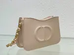 Dior Cd Signature Hobo Bag