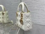 Mini Lady Dior Bag