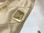 Chanle 22 Backpack