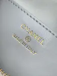 Chanel 25c Hobo Bag
