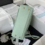 Chanle Coco Handle Bag