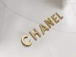Chanle 22 Backpack