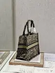 Small Dior Book Tote