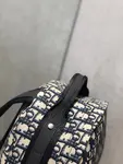Dior Backpack