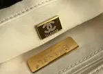 Chanle 19 Handbag