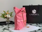 Chanle 22 Backpack