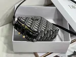 Dior Caro Box Bag