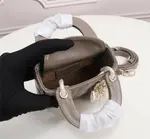 Lady Dior Micro Bag