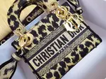 Mini Lady Dior Bag