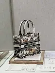 Small Dior Book Tote