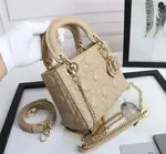 Mini Lady Dior Bag
