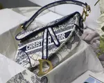 Saddle Bag