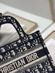 Mini Dior Book Tote