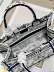 Small Dior Book Tote